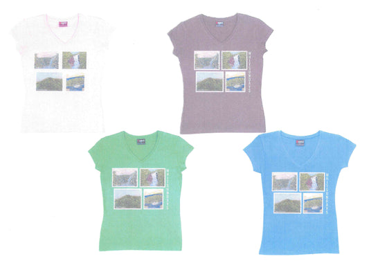 Ladies Cotton V-Neck T Shirt